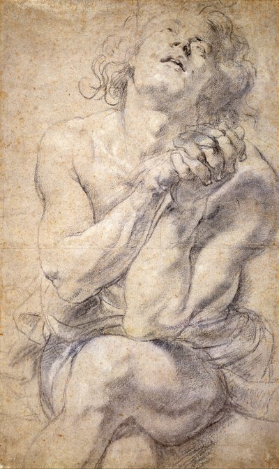 Seated Male Youth (Study for Daniel) by Peter Paul Rubens